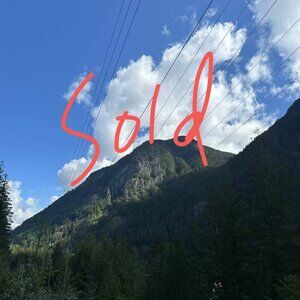 BloomChic Plus Size 2XL Silhouette Floral Print Notched Collar Pleated Blouse